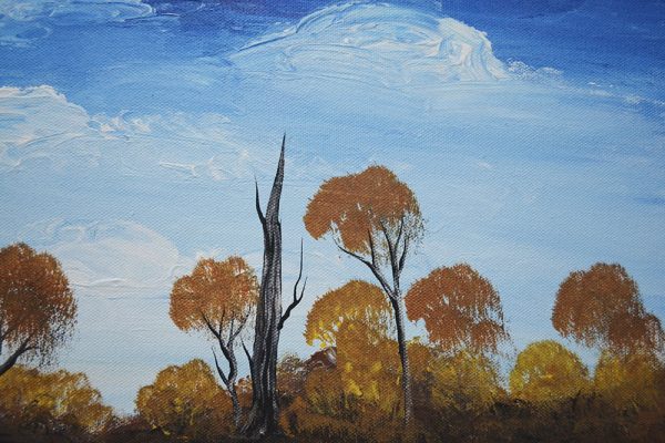 Landscape by Ashley Collard
